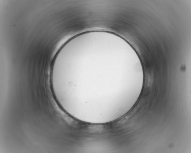 X0000091061006200709041155