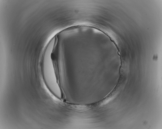 X0000091061007200709041155