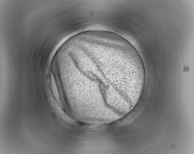 X0000091061008200709041154