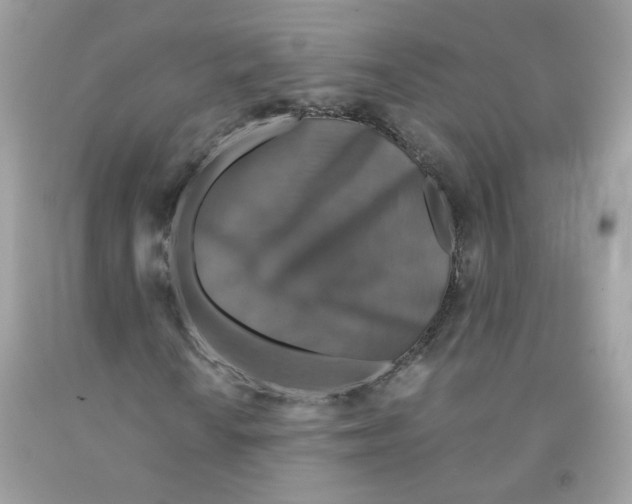 X0000091061010200709041154