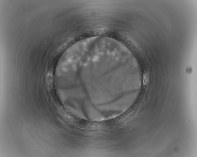 X0000091061011200709041154