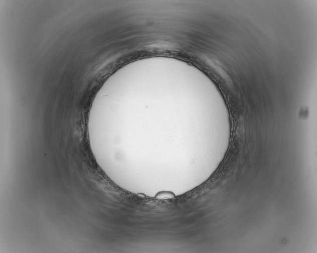 X0000091061015200709041154