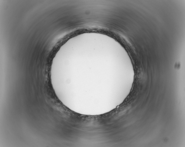 X0000091061016200709041154