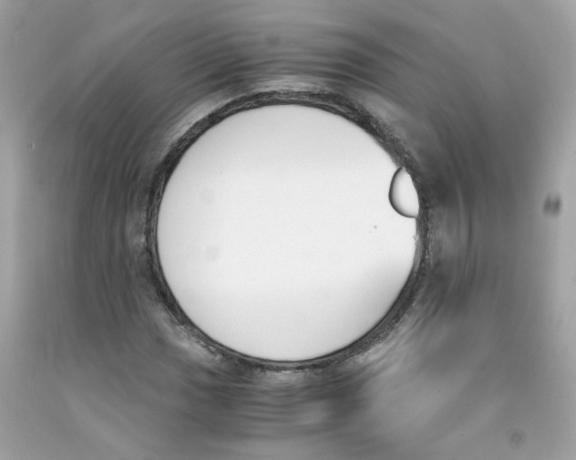 X0000091061017200709041154