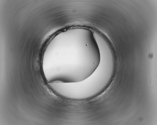 X0000091061018200709041154