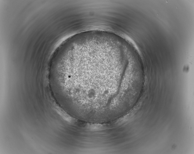 X0000091061019200709041154