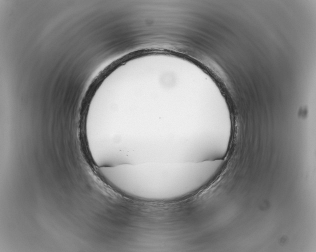 X0000091061020200709041154