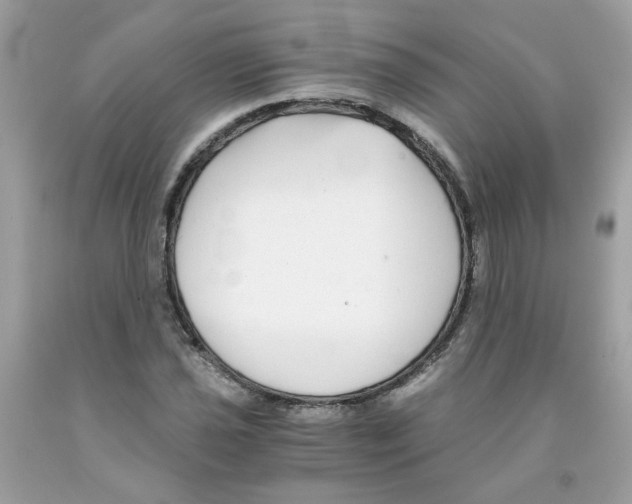 X0000091061021200709041154