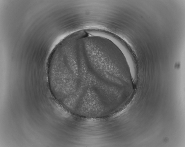 X0000091061022200709041154