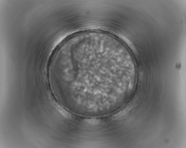 X0000091061023200709041154