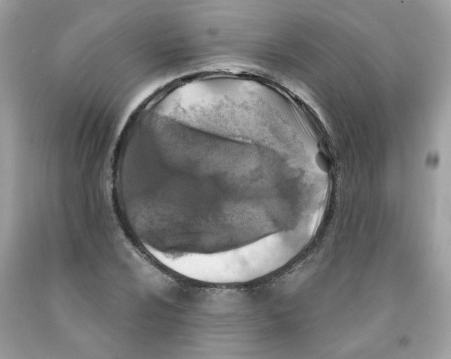 X0000091061024200709041154