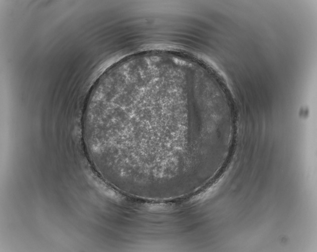 X0000091061025200709041154