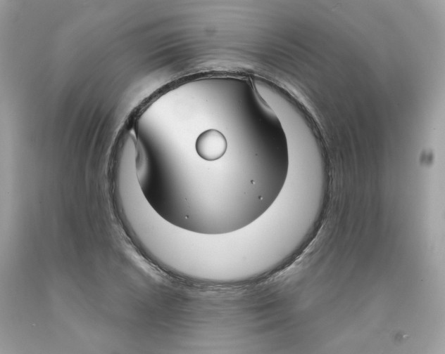 X0000091061026200709041154