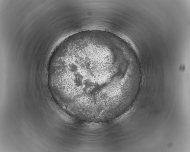 X0000091061027200709041154