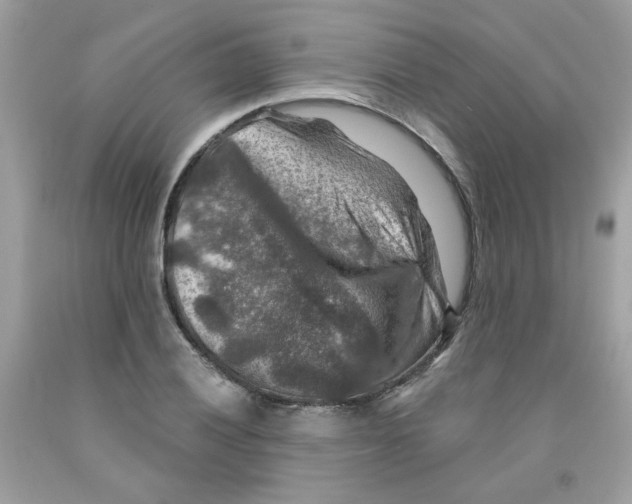 X0000091061028200709041154