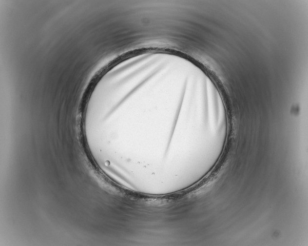 X0000091061029200709041154