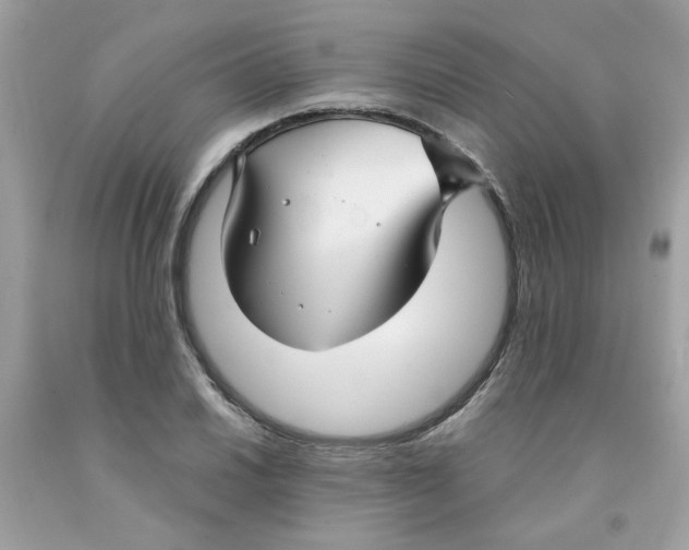 X0000091061030200709041154