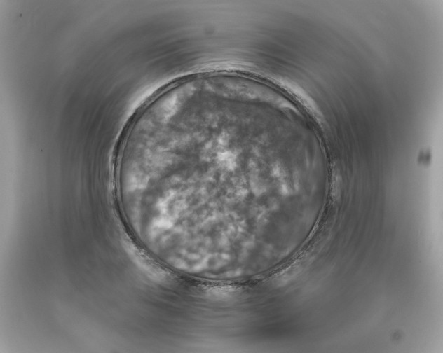 X0000091061031200709041154