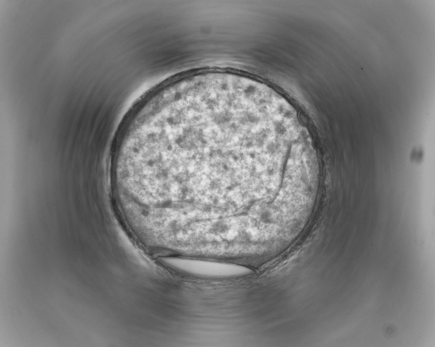 X0000091061032200709041154