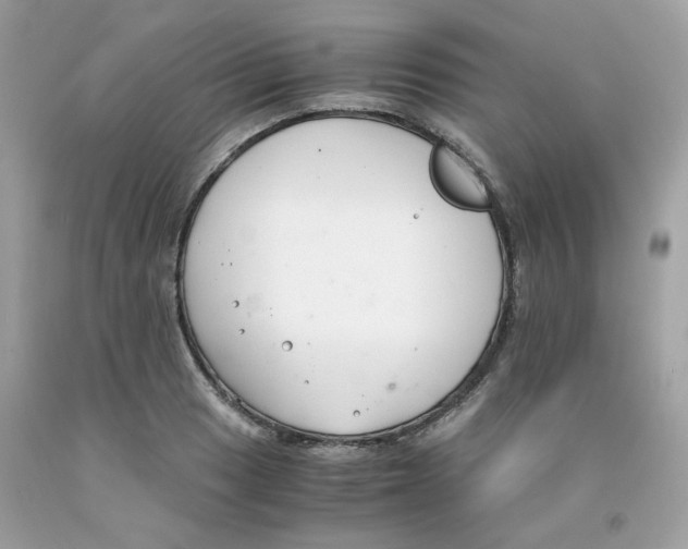 X0000091061033200709041154