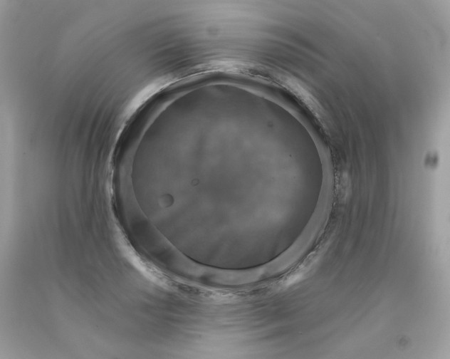 X0000091061034200709041154