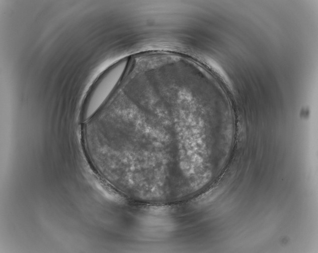 X0000091061035200709041154