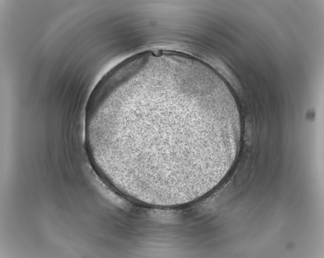 X0000091061036200709041154