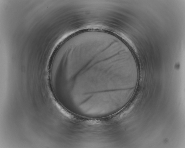 X0000091061037200709041154