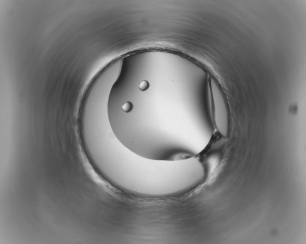 X0000091061038200709041154