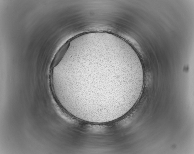 X0000091061039200709041154