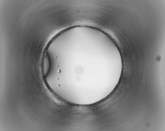 X0000091061040200709041154