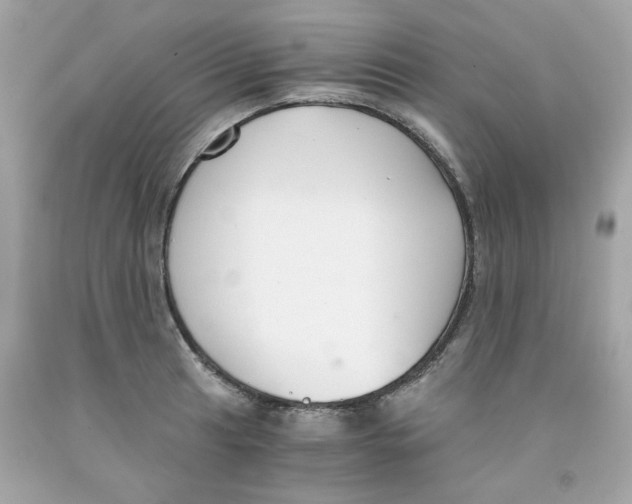 X0000091061041200709041154