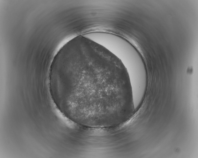 X0000091061042200709041154