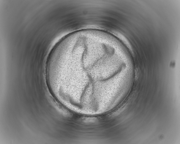 X0000091061043200709041154