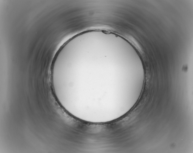 X0000091061044200709041154