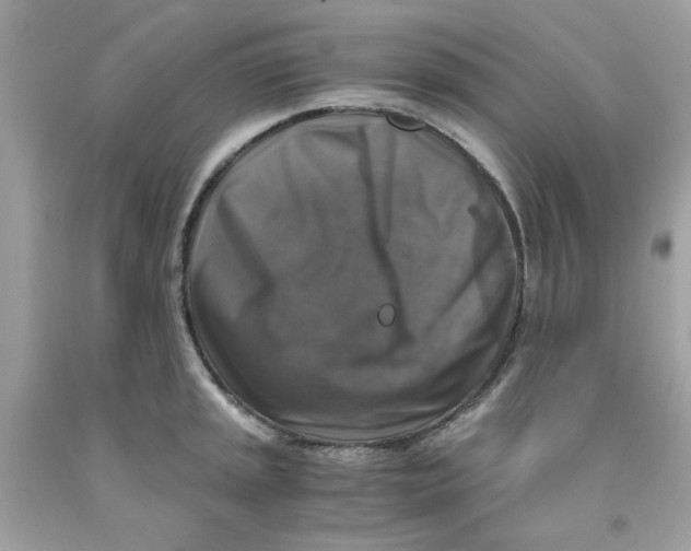 X0000091061045200709041154