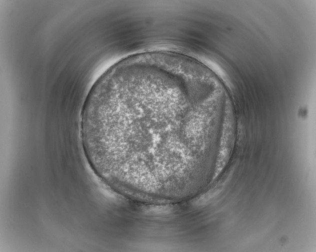 X0000091061047200709041154