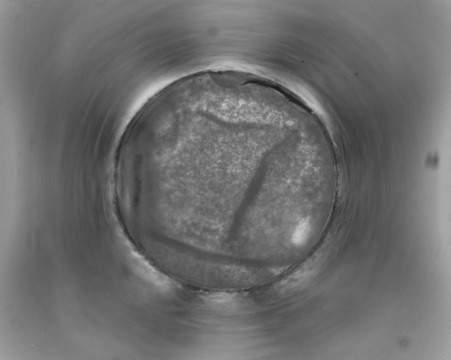 X0000091061048200709041154