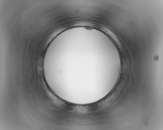 X0000091061049200709041154