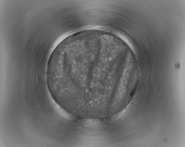 X0000091061050200709041154