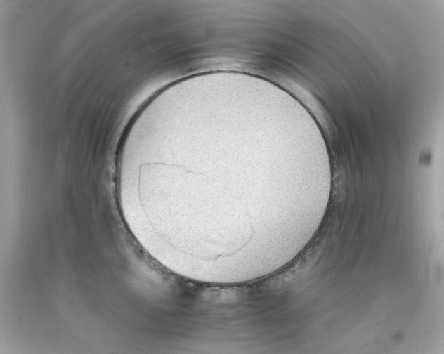 X0000091061051200709041154