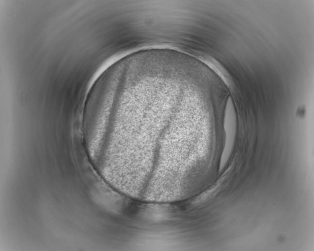 X0000091061052200709041154