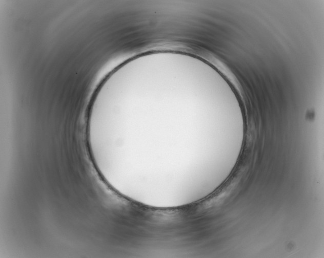 X0000091061053200709041154