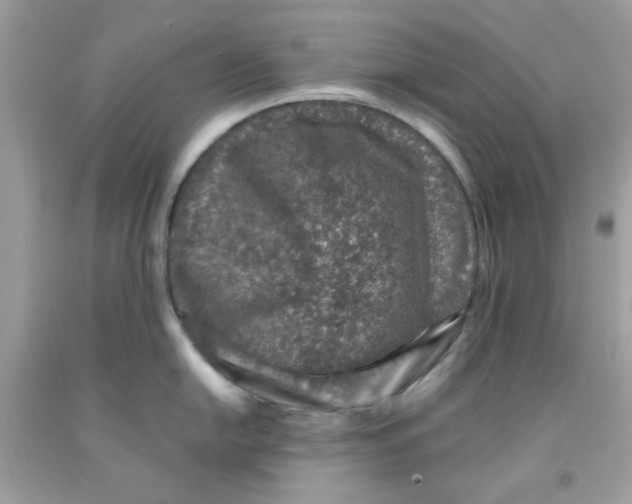 X0000091061054200709041154