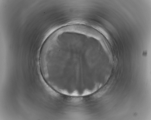 X0000091061055200709041154