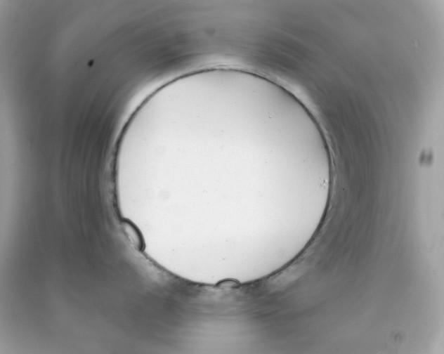 X0000091061056200709041154