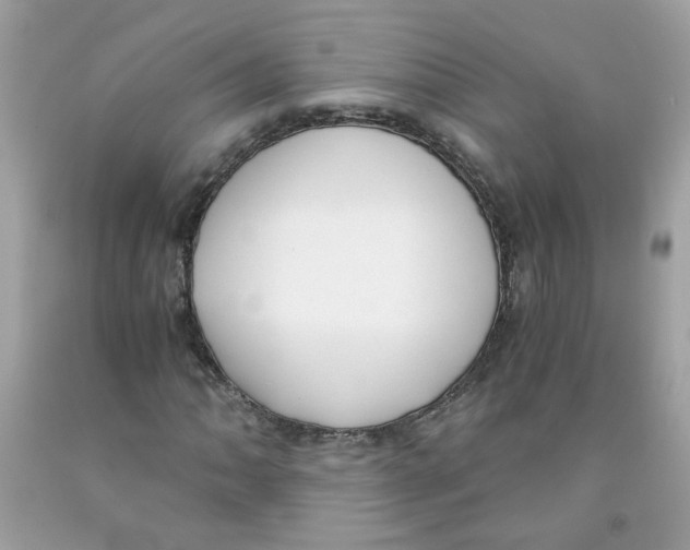 X0000091061062200709041154