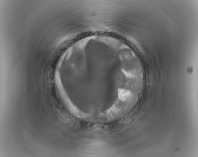 X0000091061063200709041154