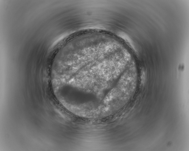 X0000091061064200709041154