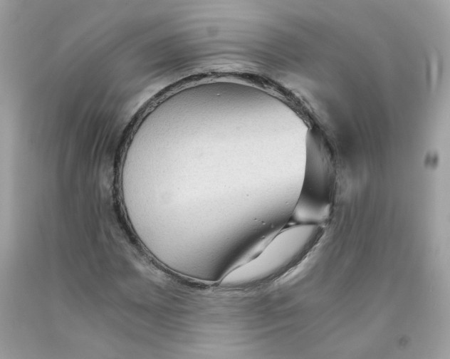 X0000091061065200709041154